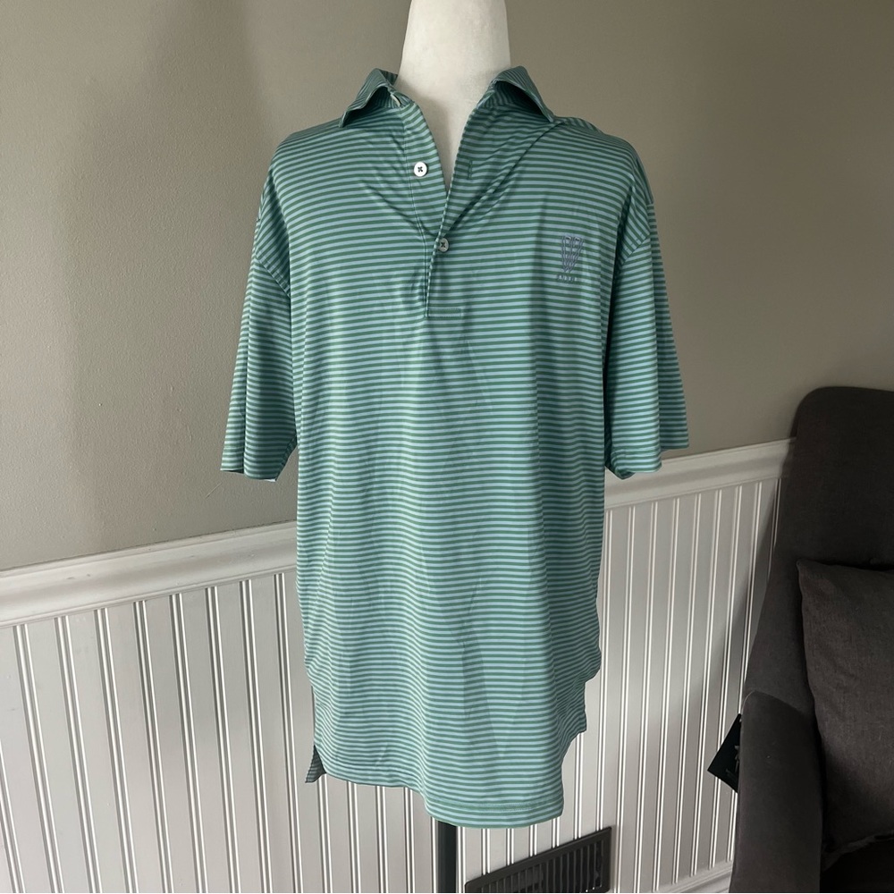 Men’s Turtleson striped blue and green golf polo